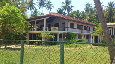 amma guesthouse|AMMA GUESTHOUSE .